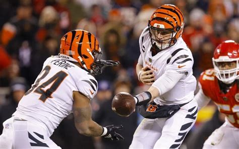 cincinnati bengals odds|BENGALS Odds: Schedule, Matchups, & Stats.